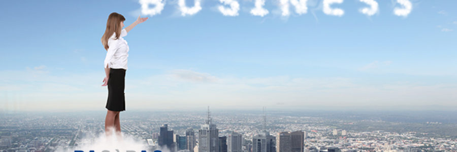 Business SAP Business SAP