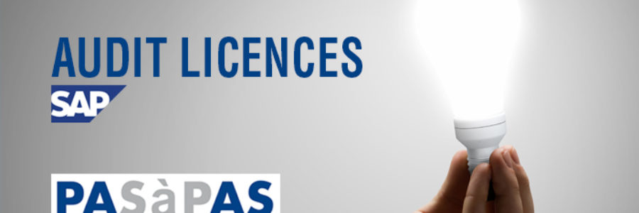 audit licence SAP audit licence SAP