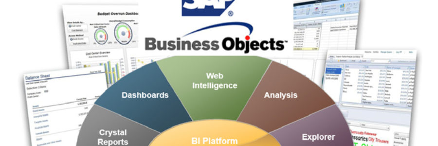 SAP Business Object