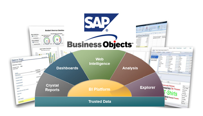 SAP Business Object