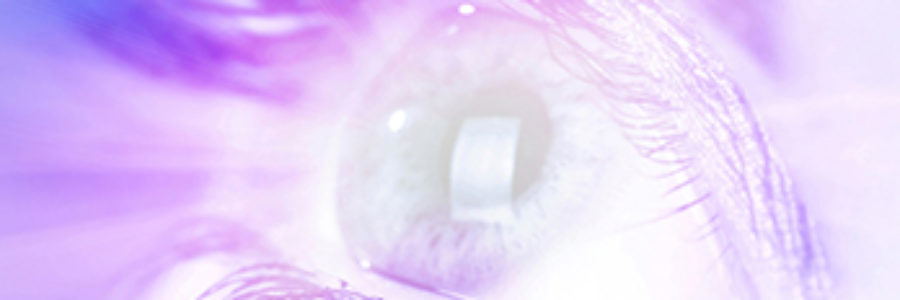 oeil mini oeil mini