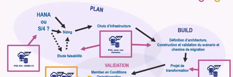 webinar infogerance SAP webinar infogerance SAP