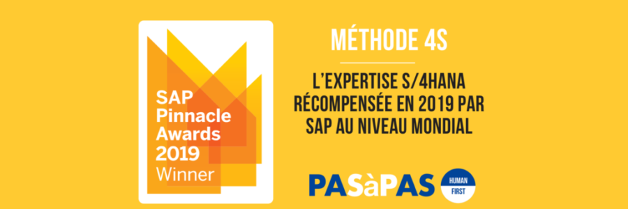 SAP award Pinnacle 2019 1 SAP award Pinnacle 2019 1