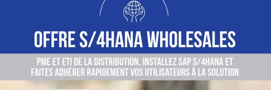 S4HANA WHOLESALES PASAPAS OFFRE S4HANA WHOLESALES PASAPAS OFFRE