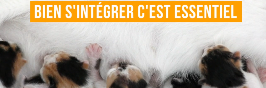 Integration accompagnement Integration accompagnement