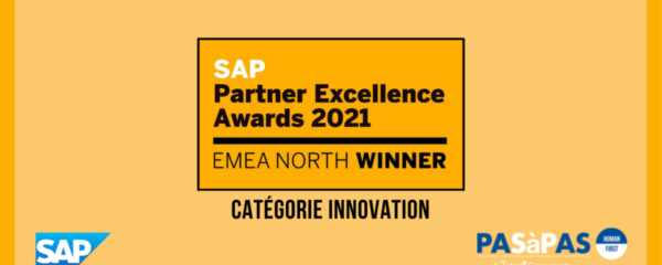 Visuel Award SAP Excellence RISE