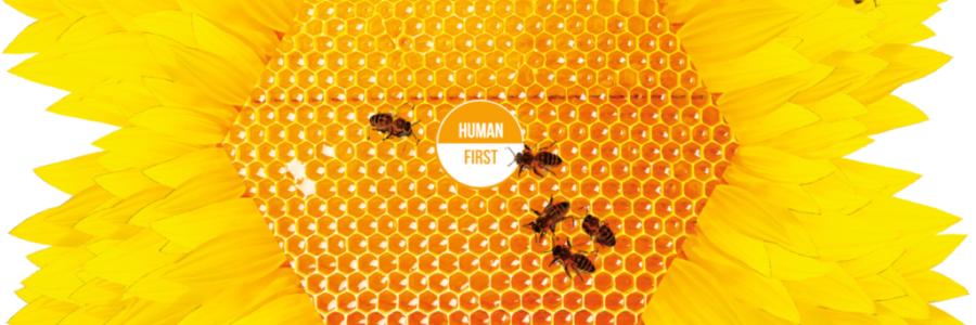 Bee2 Bee2