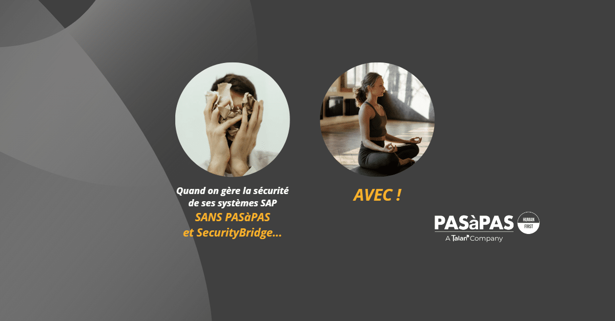 Visuel SecurityBridge article VDEF blog